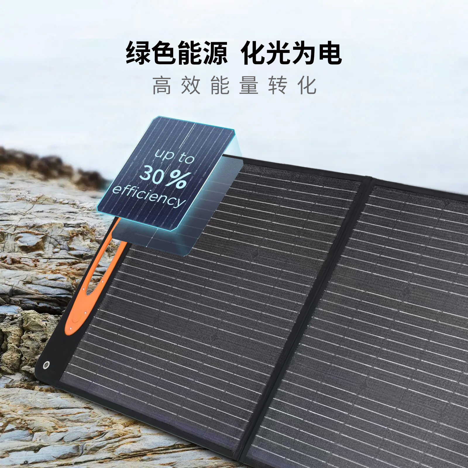 LT-100W