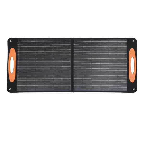 LT-100W