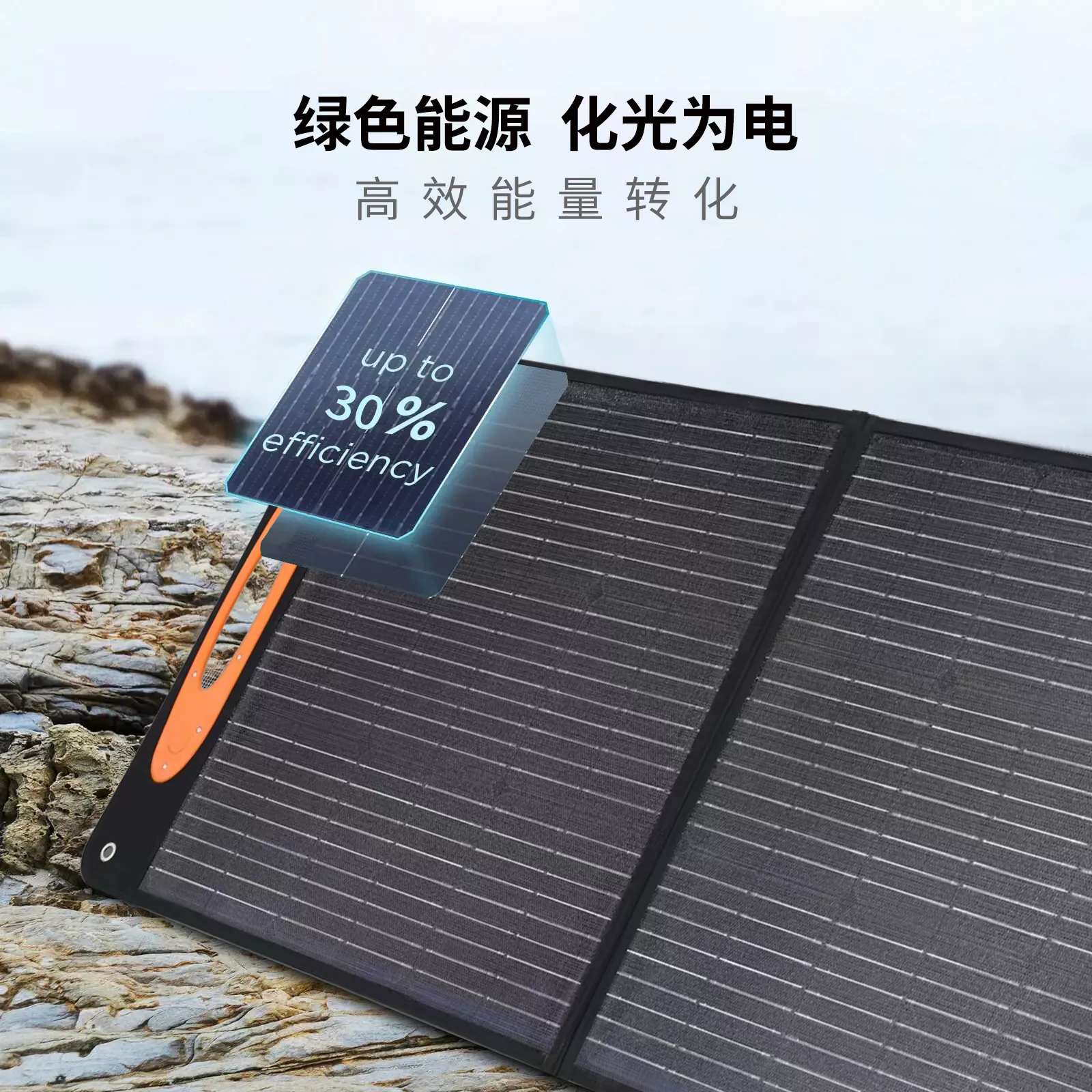 LT-100W